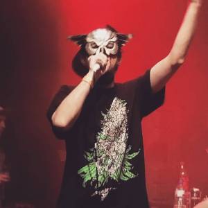 12825816_255524811446586_128153149_n